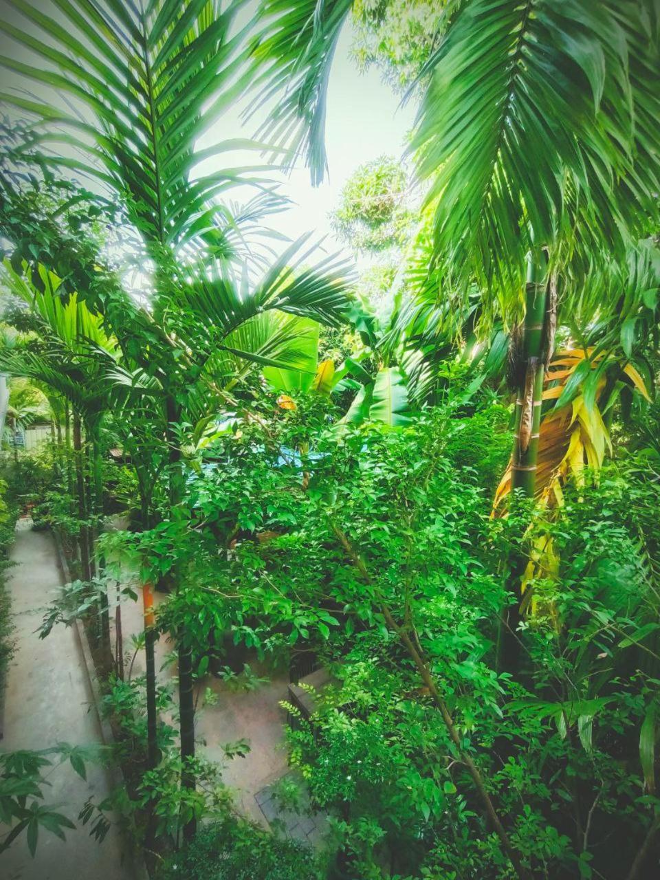 Green Stay Village Siem Reap Exterior photo